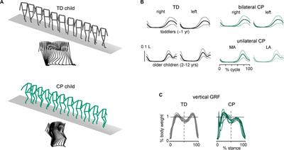 Maturation of the Locomotor Circuitry in Children With Cerebral Palsy